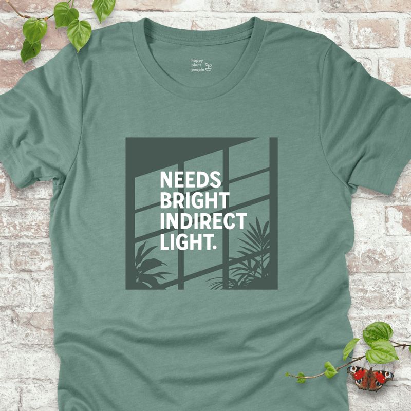 Bright Indirect Light T-Shirt