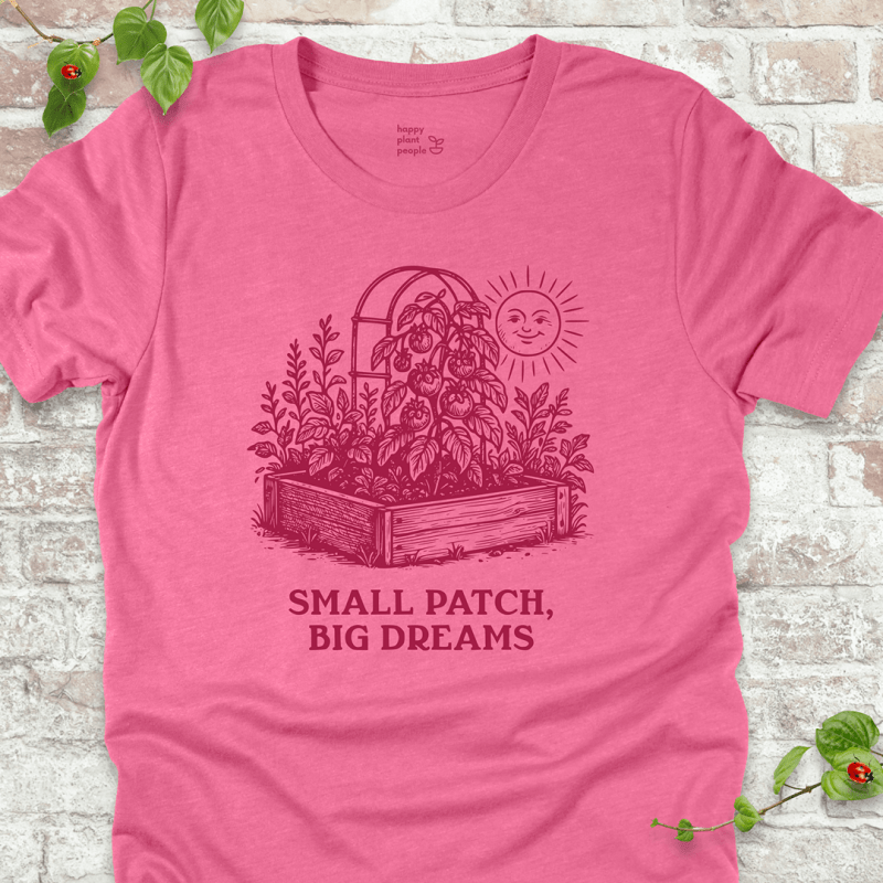 Big Dreams T-Shirt