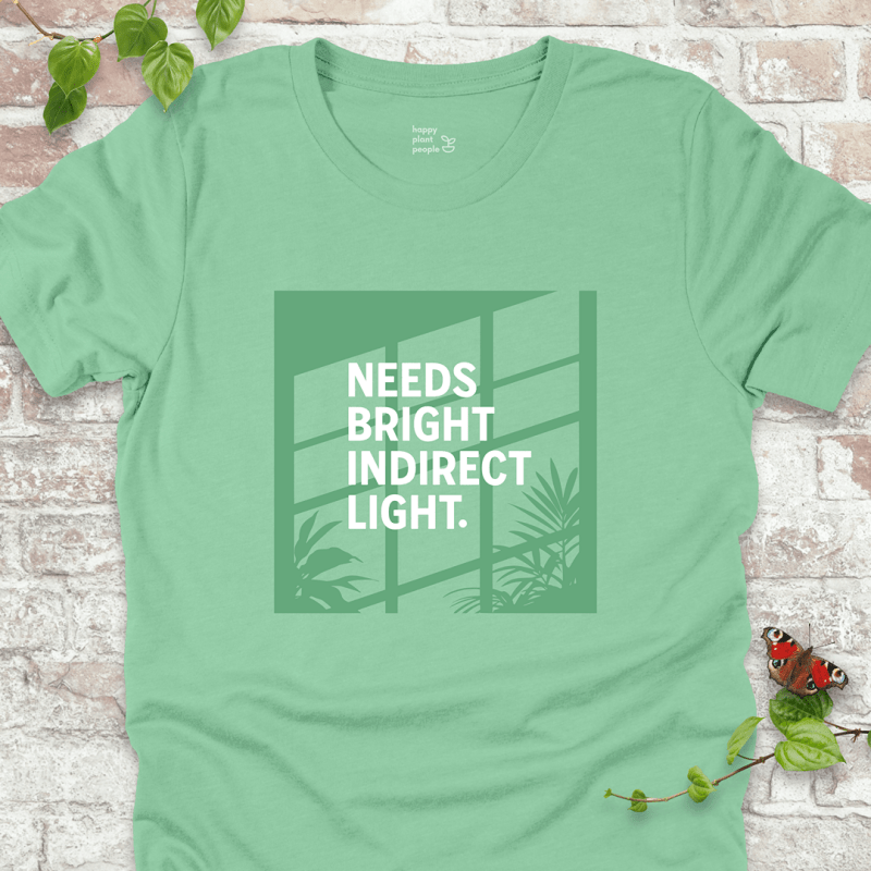 Bright Indirect Light T-Shirt