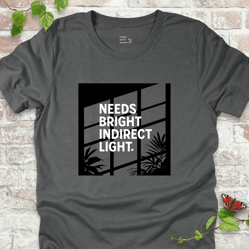 Bright Indirect Light T-Shirt