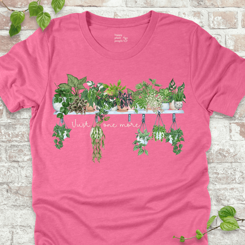 Just One More T-Shirt