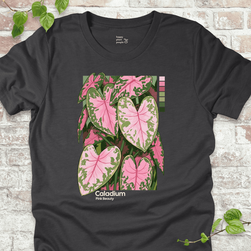 Caladium Pink Beauty T-Shirt