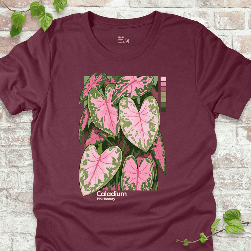 Caladium Pink Beauty T-Shirt