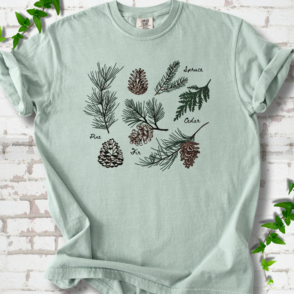 Bay Comfort Colors® T-shirt shown flat with a botanical chart of pine, spruce, cedar and fir cones and needles