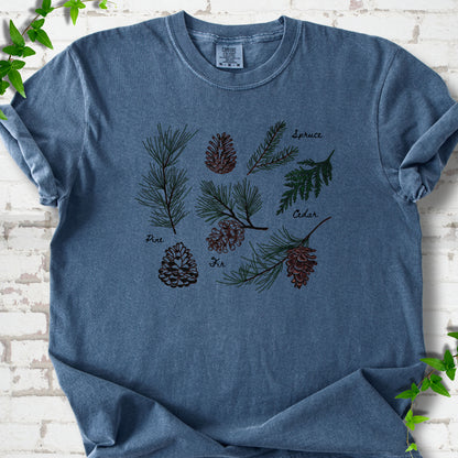 Denim Comfort Colors® T-shirt shown flat with a botanical chart of pine, spruce, cedar and fir cones and needles