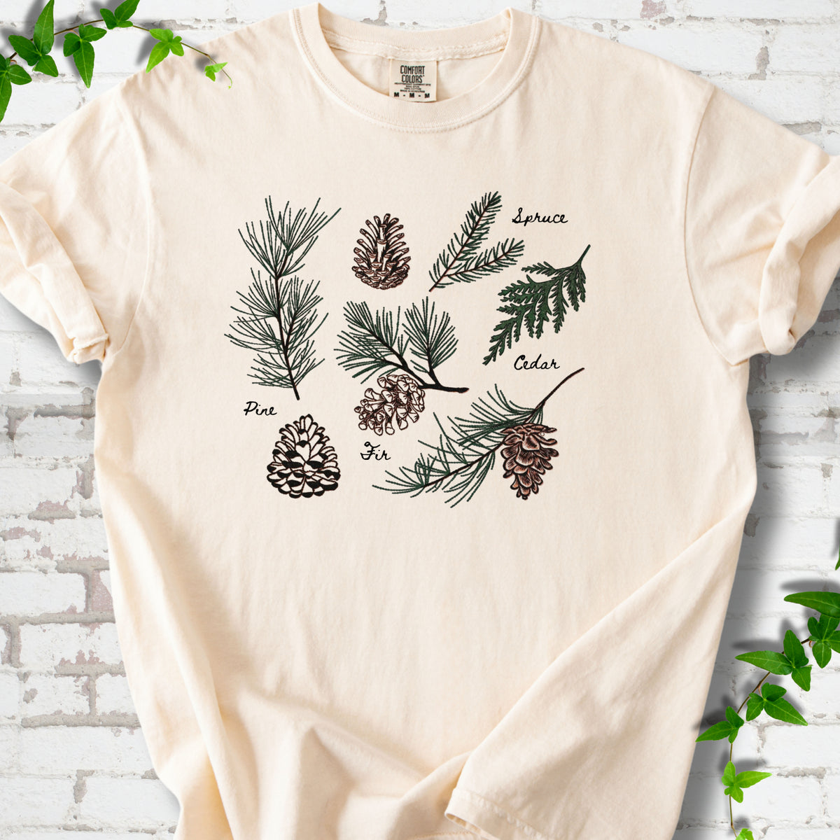 Ivory Comfort Colors® T-shirt shown flat with a botanical chart of pine, spruce, cedar and fir cones and needles