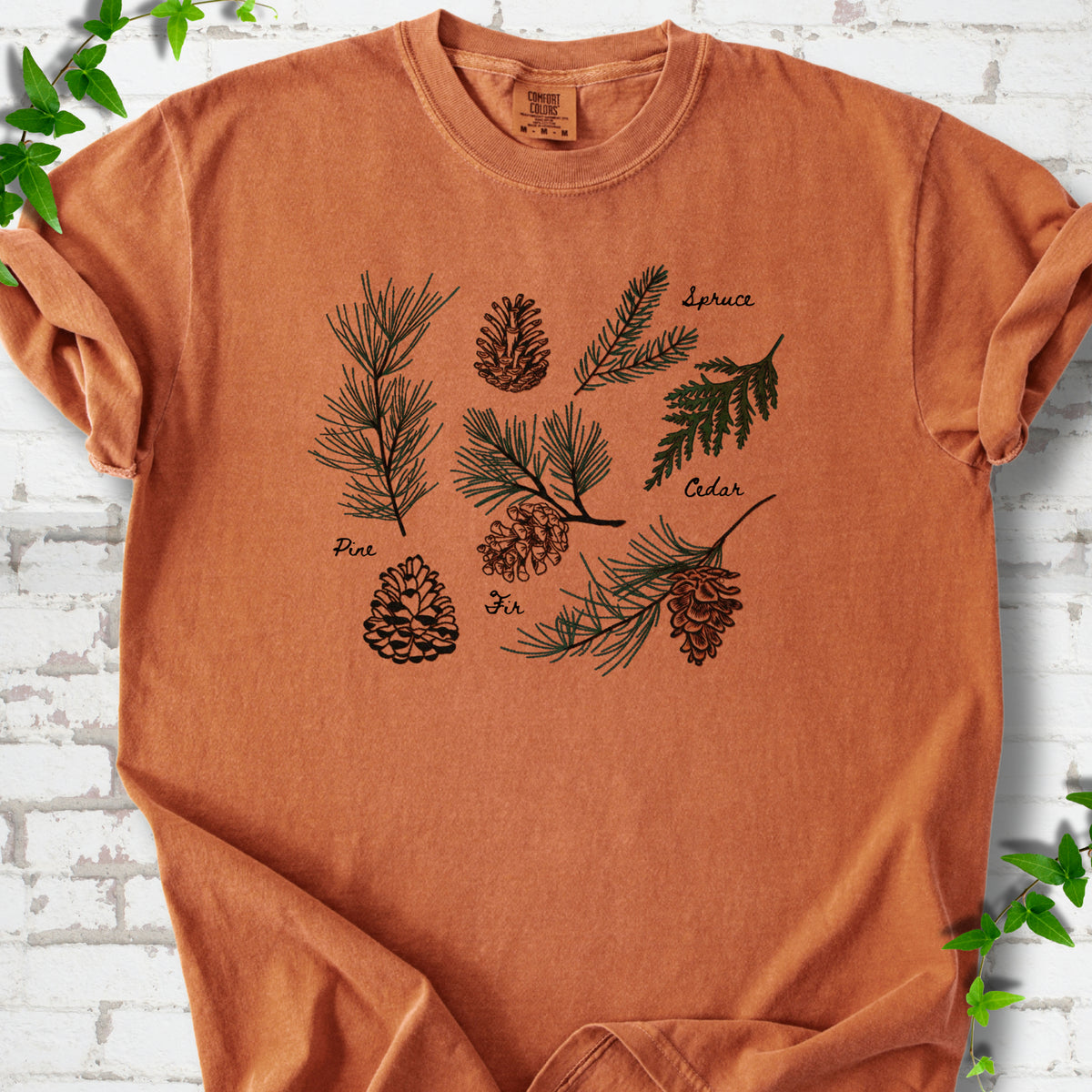 Yam Comfort Colors® T-shirt shown flat with a botanical chart of pine, spruce, cedar and fir cones and needles