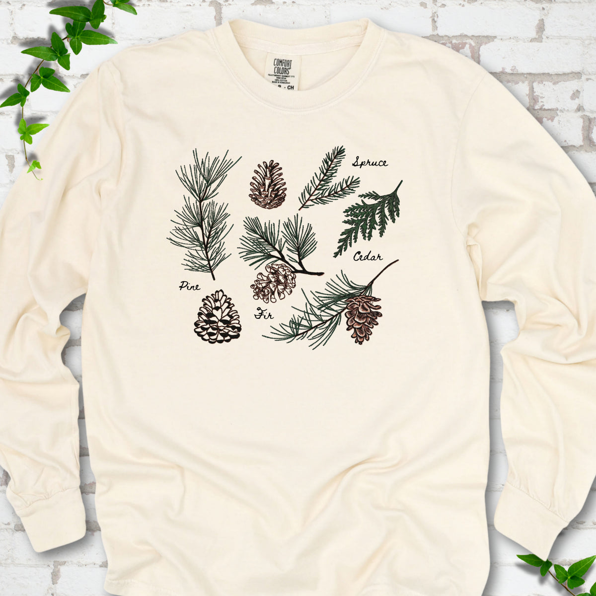 Ivory Comfort Colors® long sleeve T-shirt shown flat with a botanical chart of pine, spruce, cedar and fir cones and needles