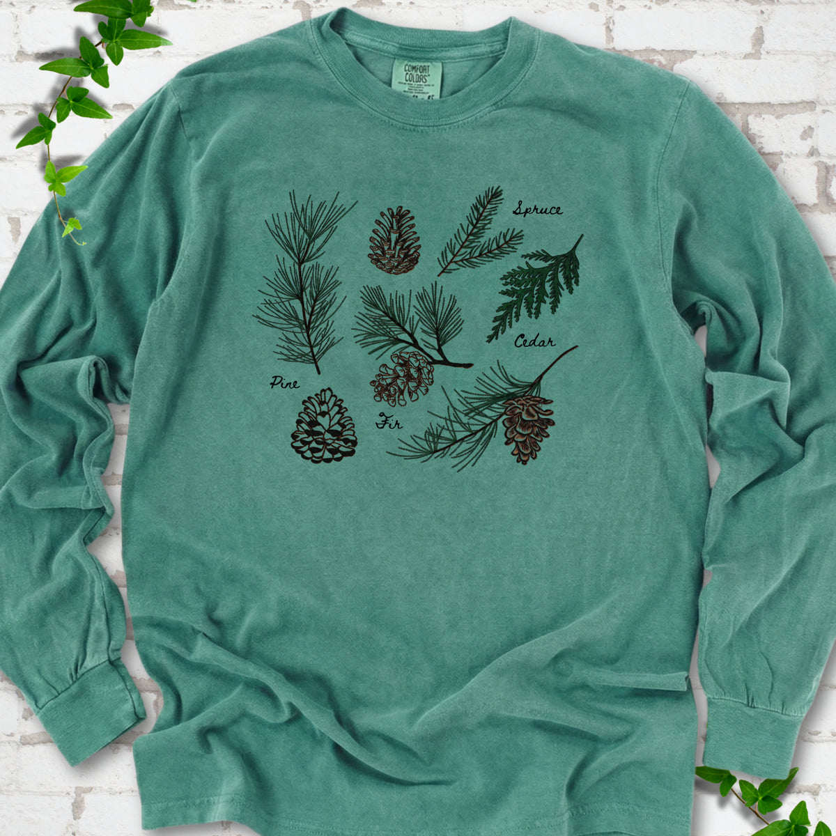 Light Green Comfort Colors® long sleeve T-shirt shown flat with a botanical chart of pine, spruce, cedar and fir cones and needles