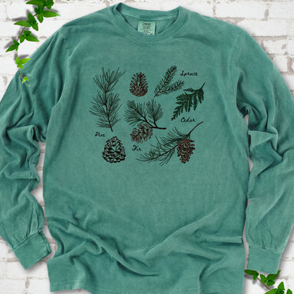 Light Green Comfort Colors® long sleeve T-shirt shown flat with a botanical chart of pine, spruce, cedar and fir cones and needles