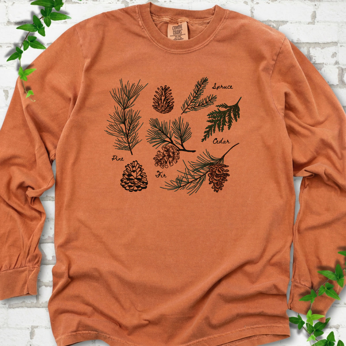 Yam Comfort Colors® long sleeve T-shirt shown flat with a botanical chart of pine, spruce, cedar and fir cones and needles