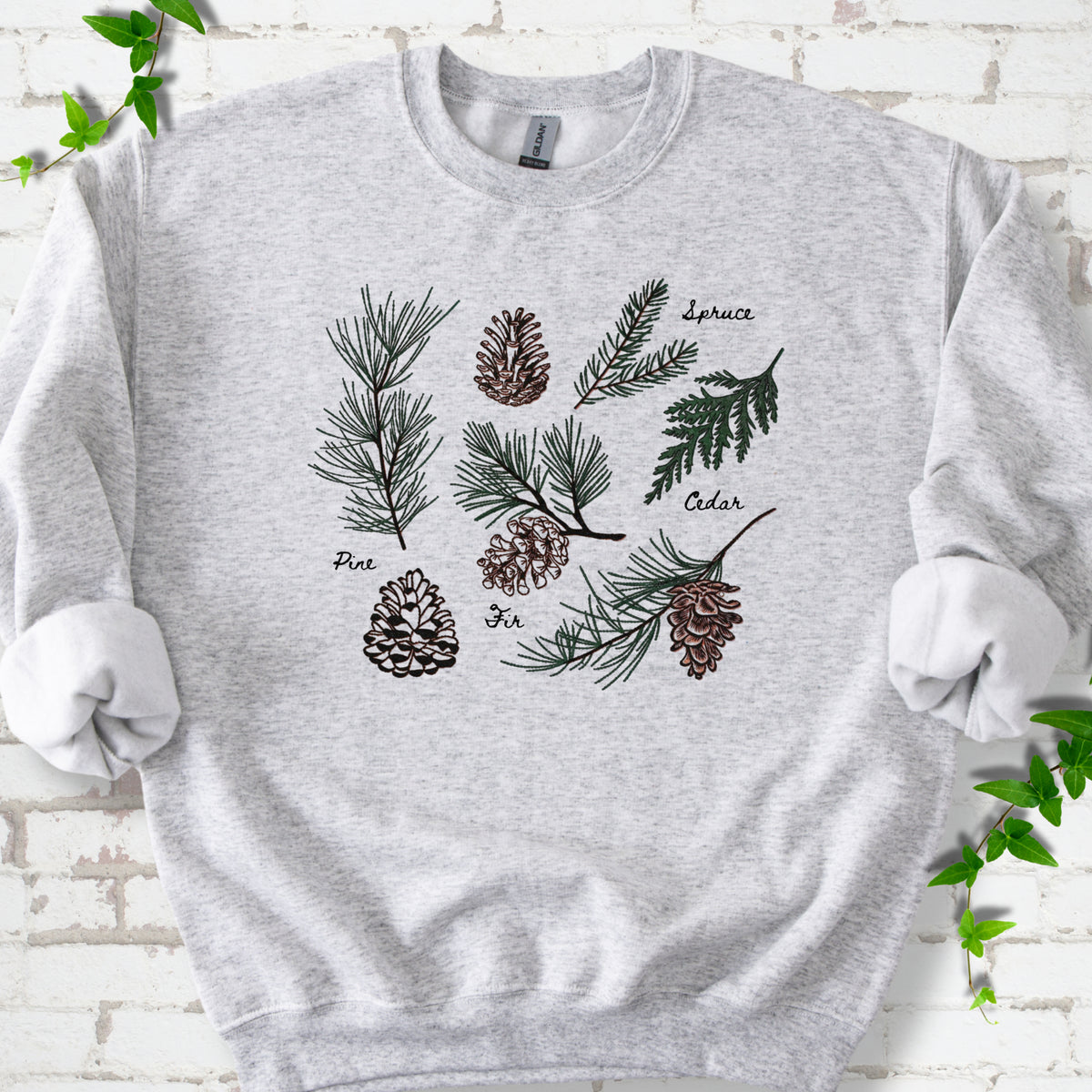 Ash classic sweatshirt shown flat with a botanical chart of pine, spruce, cedar and fir cones and needles