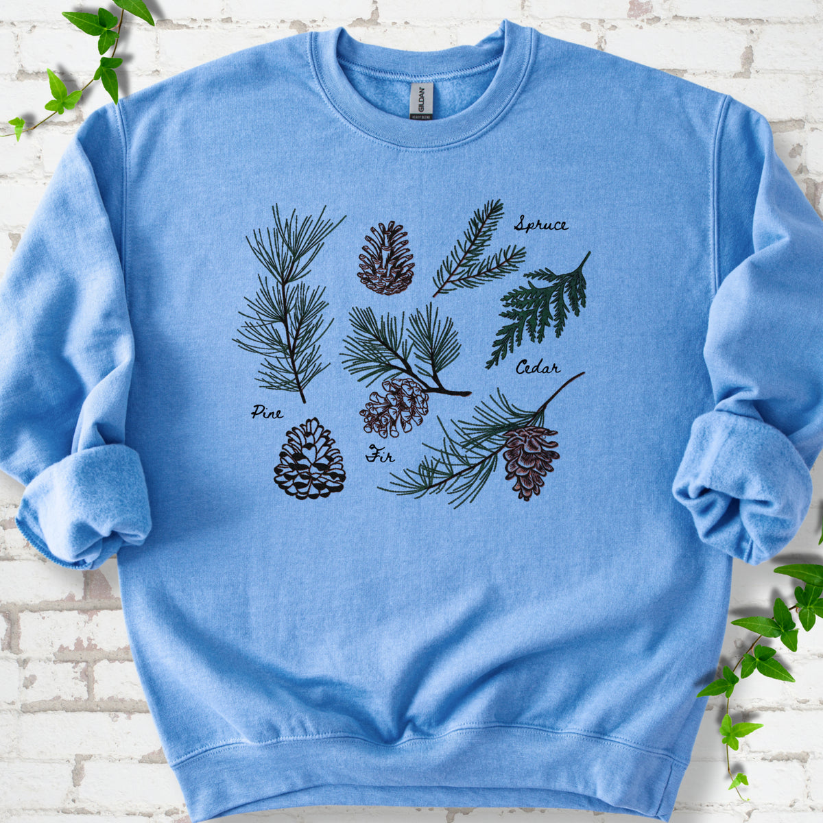 Carolina Blue classic sweatshirt shown flat with a botanical chart of pine, spruce, cedar and fir cones and needles