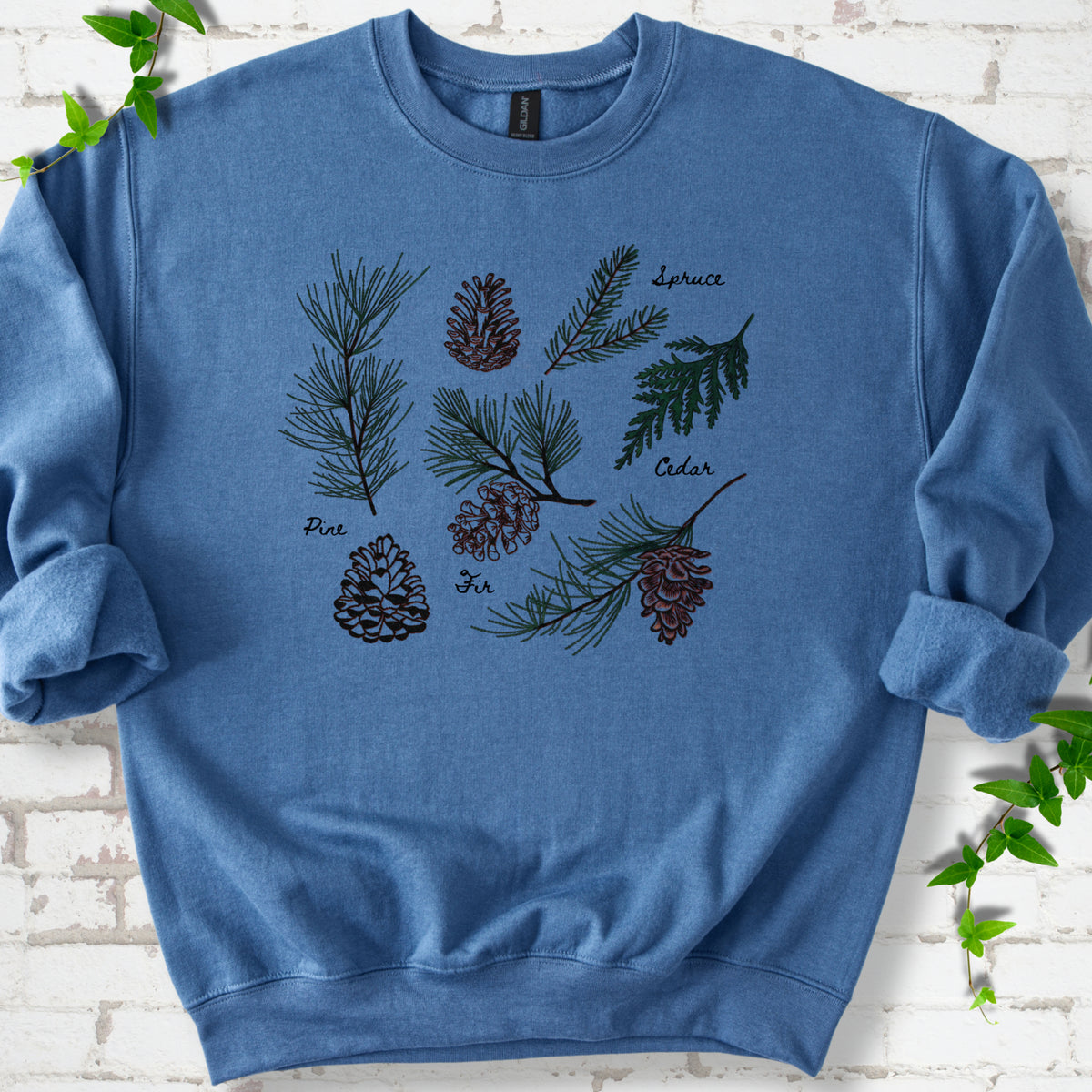 Indigo Blue classic sweatshirt shown flat with a botanical chart of pine, spruce, cedar and fir cones and needles