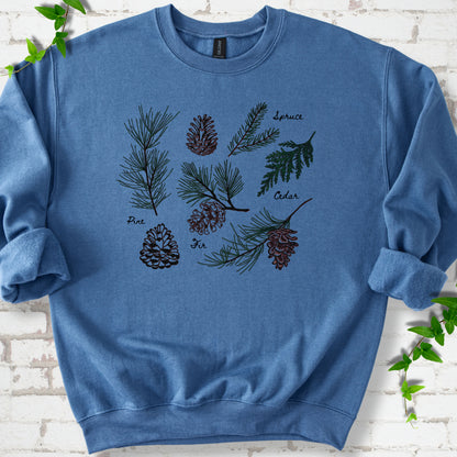 Indigo Blue classic sweatshirt shown flat with a botanical chart of pine, spruce, cedar and fir cones and needles