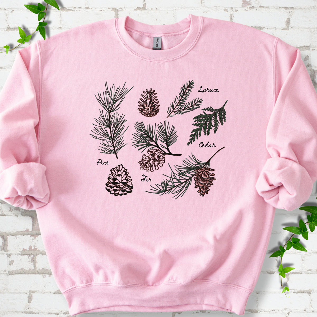Light Pink classic sweatshirt shown flat with a botanical chart of pine, spruce, cedar and fir cones and needles