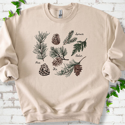 Sand classic sweatshirt shown flat with a botanical chart of pine, spruce, cedar and fir cones and needles
