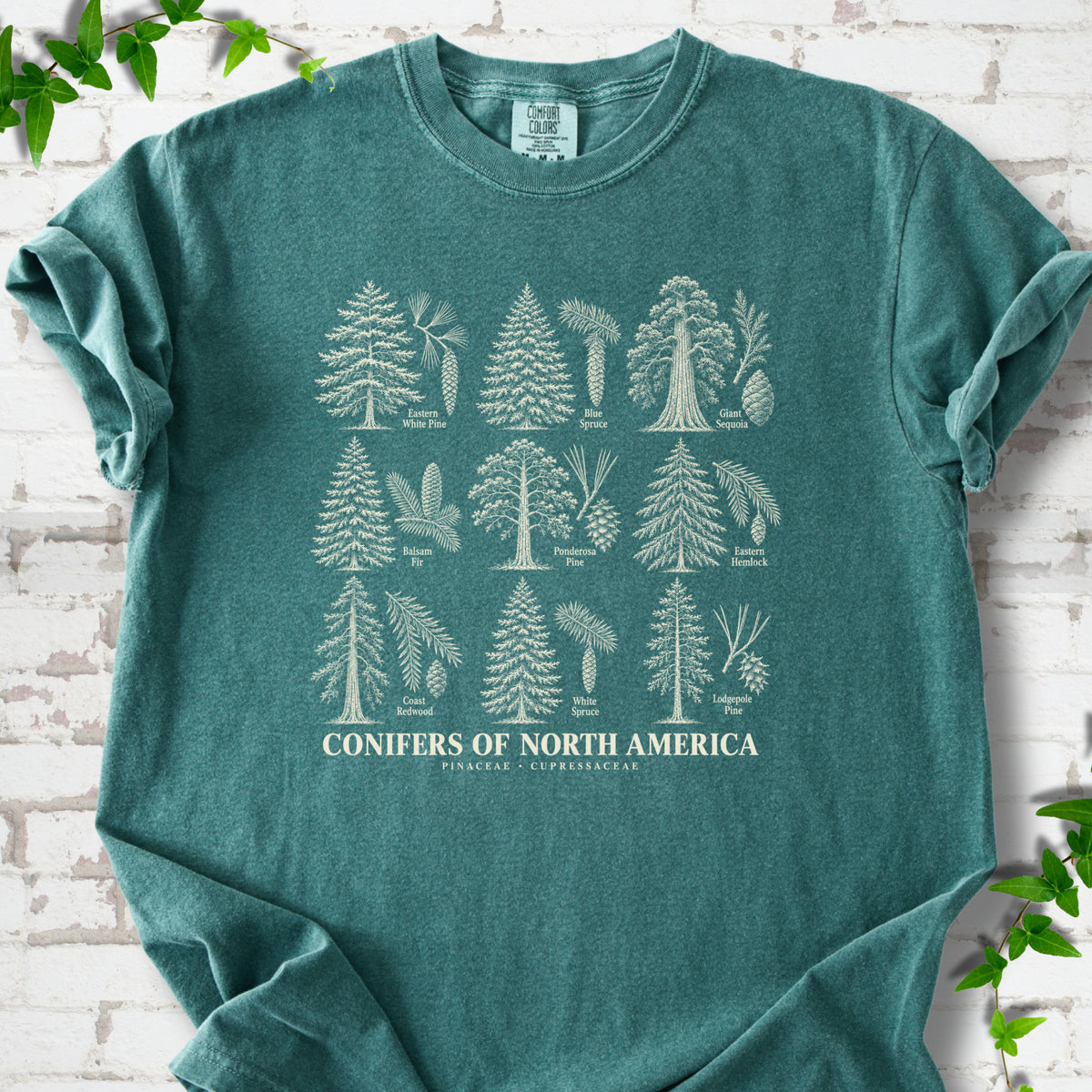 Blue Spruce T-shirt laid flat, showing cream illustrations of nine labeled trees with needles and cones above "Conifers of North America".