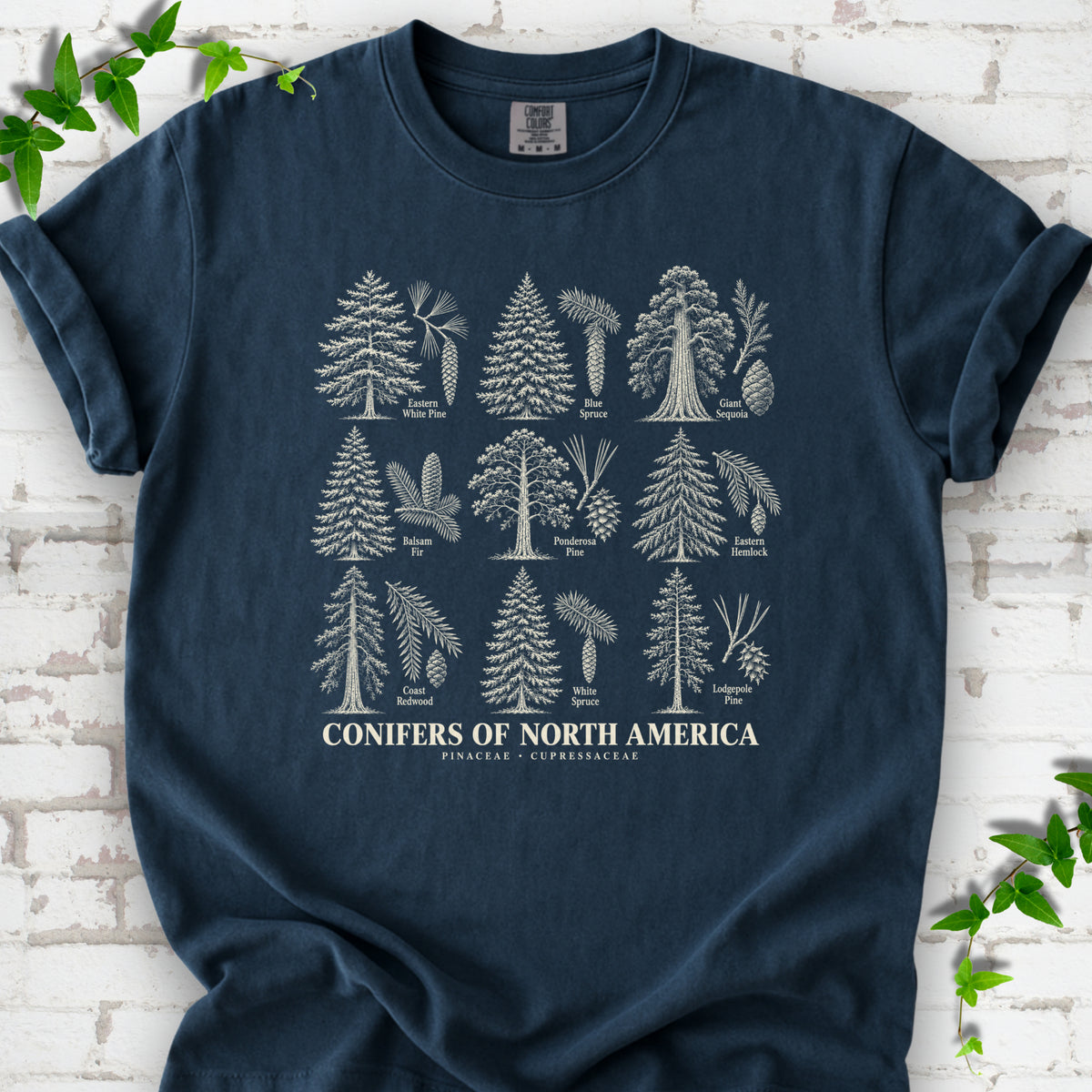 Midnight T-shirt laid flat, showing cream illustrations of nine labeled trees with needles and cones above "Conifers of North America".