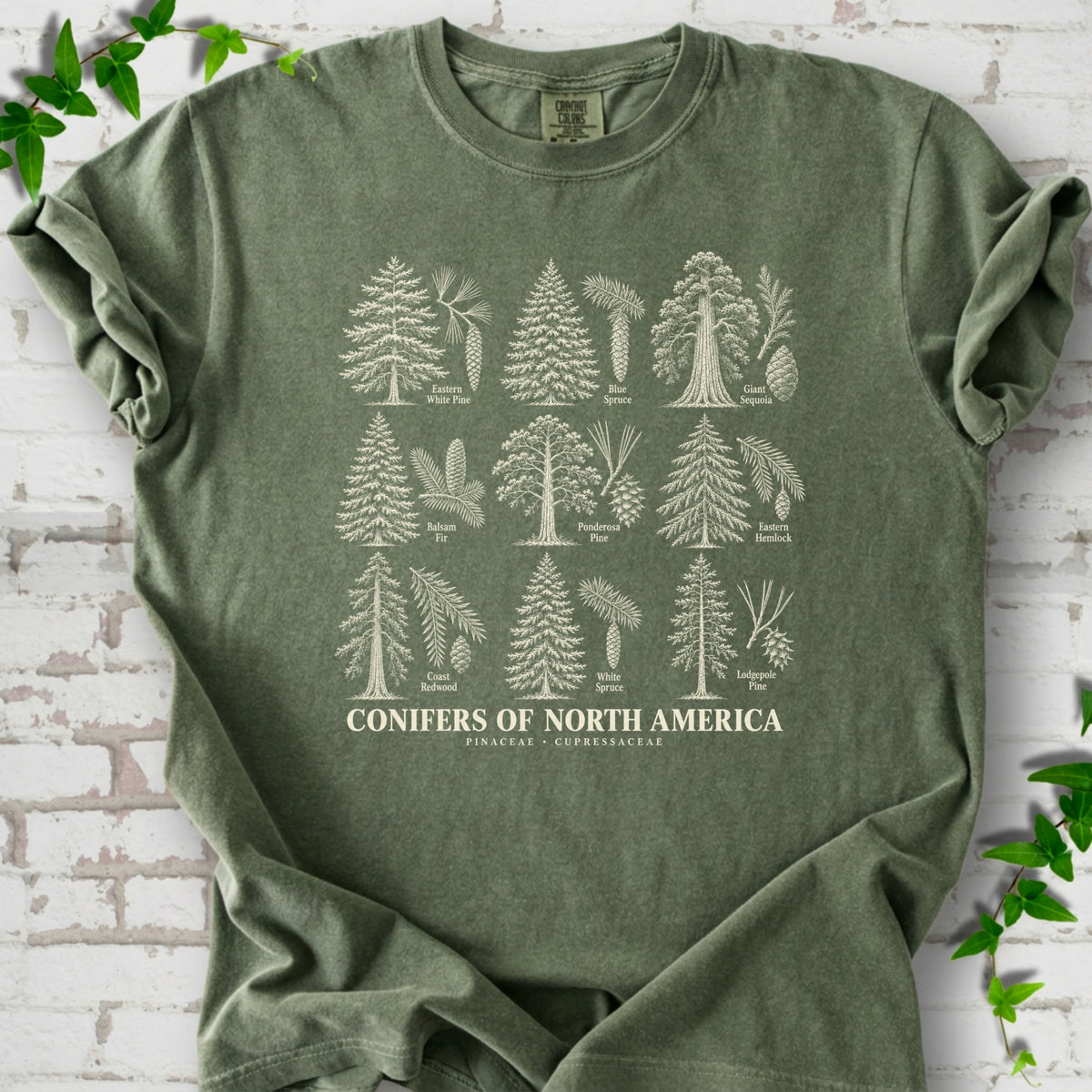 Moss T-shirt laid flat, showing cream illustrations of nine labeled trees with needles and cones above "Conifers of North America".