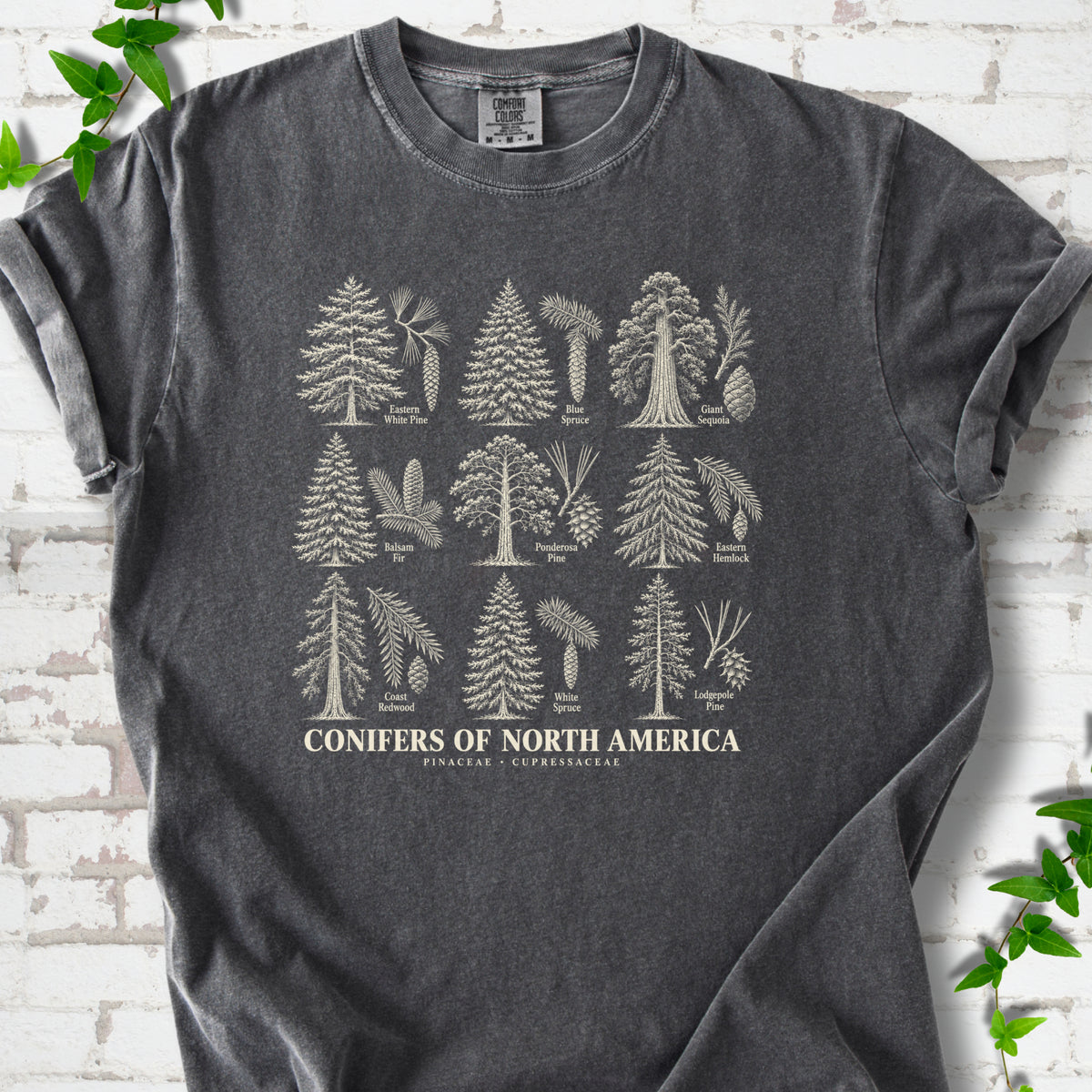 Pepper T-shirt laid flat, showing cream illustrations of nine labeled trees with needles and cones above "Conifers of North America".