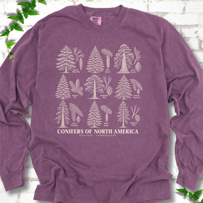 Berry long sleeve tee laid flat, showing cream illustrations of nine labeled trees with needles and cones above "Conifers of North America".