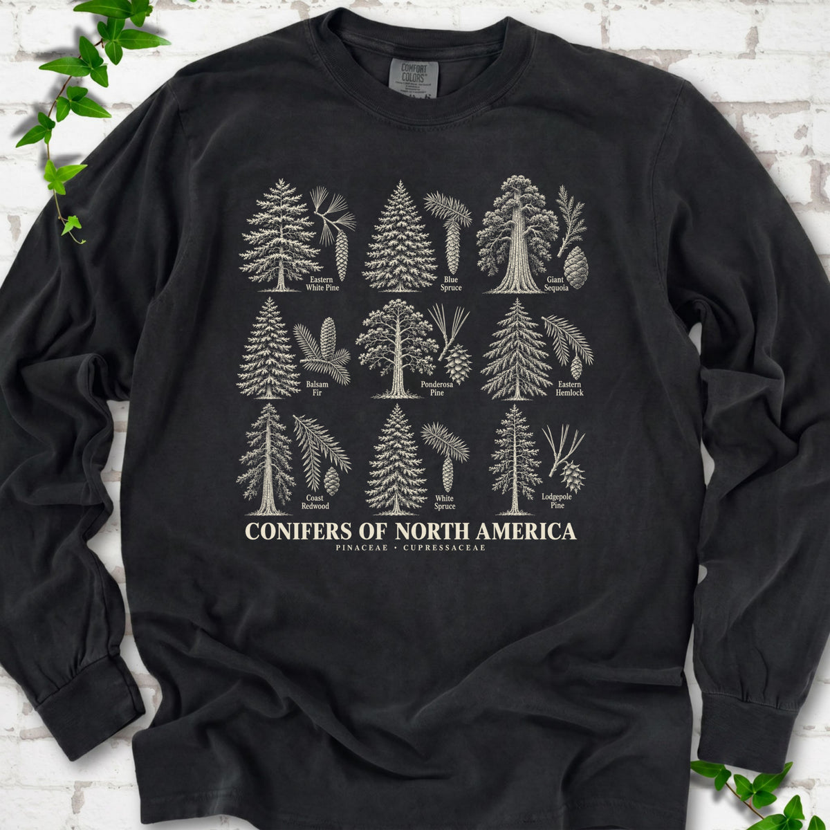 Black long sleeve tee laid flat, showing cream illustrations of nine labeled trees with needles and cones above "Conifers of North America".