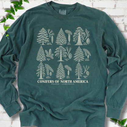 Blue Spruce long sleeve tee laid flat, showing cream illustrations of nine labeled trees with needles and cones above "Conifers of North America".