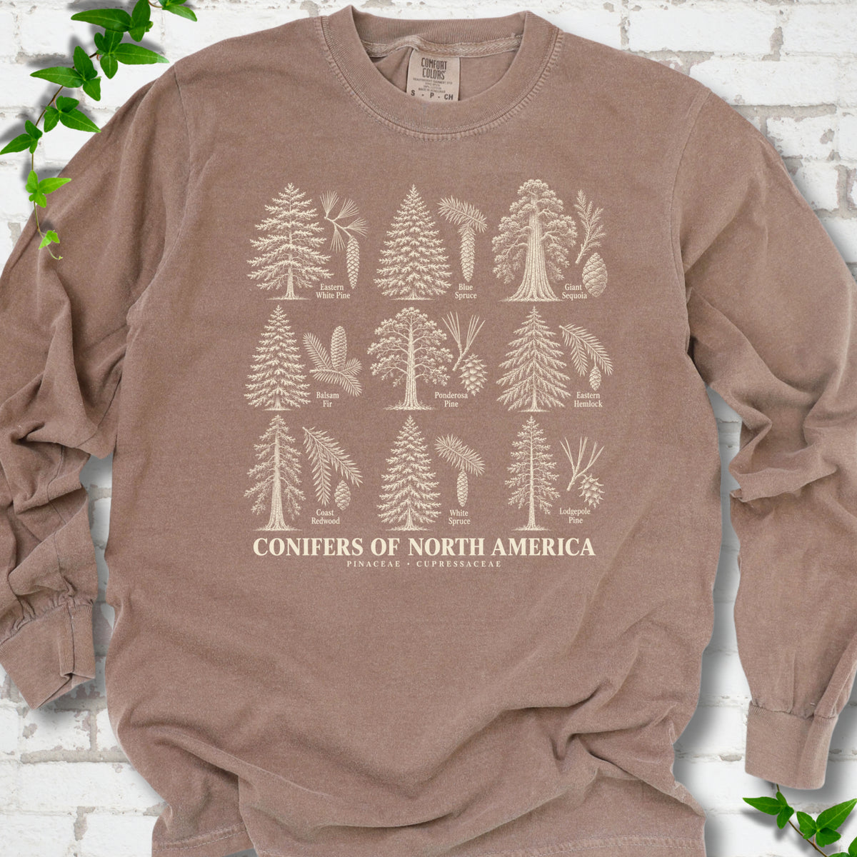 Espresso long sleeve tee laid flat, showing cream illustrations of nine labeled trees with needles and cones above "Conifers of North America".
