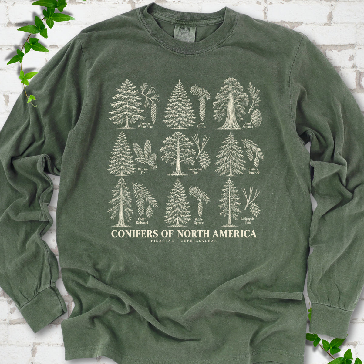 Hemp long sleeve tee laid flat, showing cream illustrations of nine labeled trees with needles and cones above "Conifers of North America".