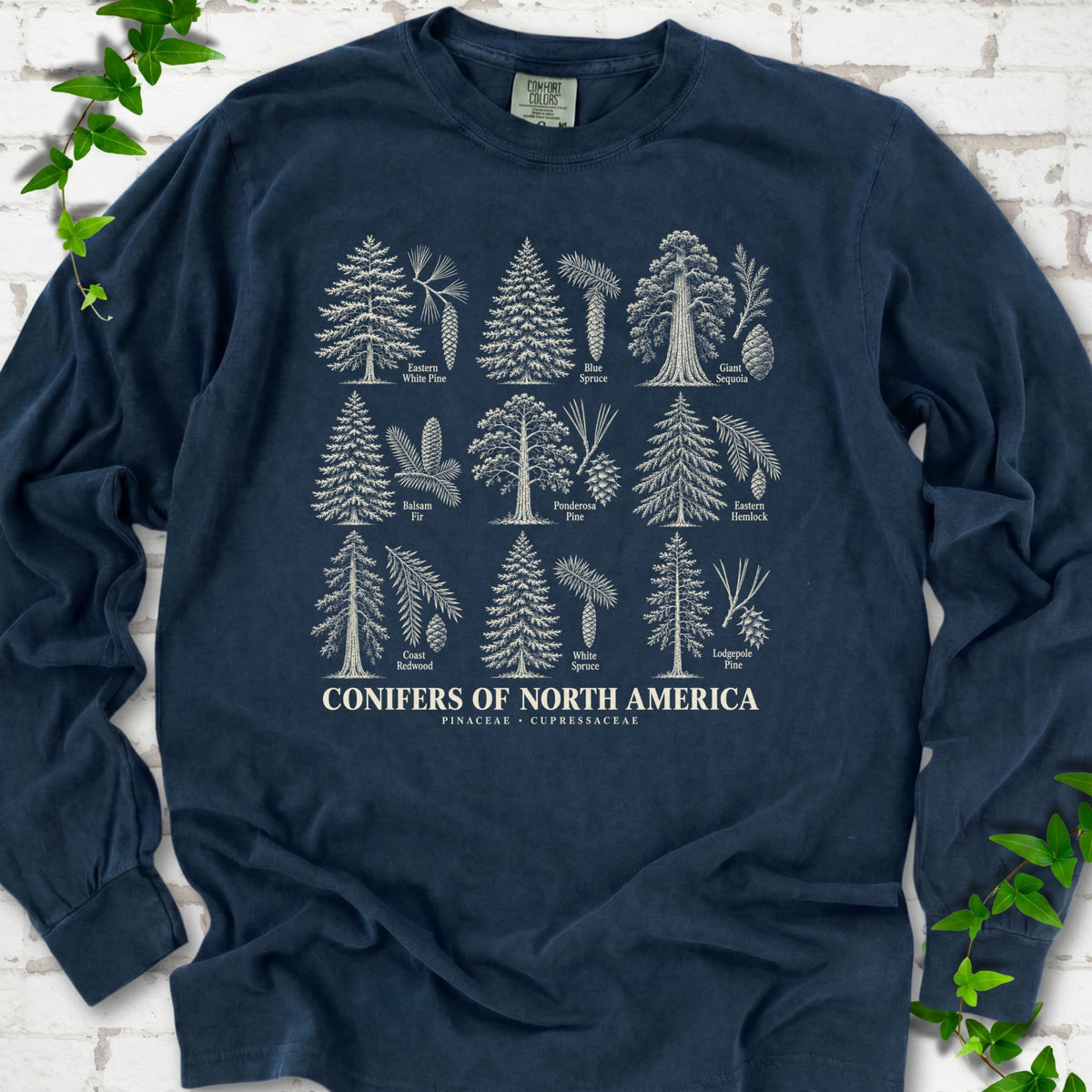 Midnight long sleeve tee laid flat, showing cream illustrations of nine labeled trees with needles and cones above "Conifers of North America".