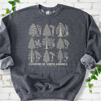 Dark Heather classic sweatshirt laid flat, showing cream illustrations of nine labeled trees with needles and cones above "Conifers of North America".