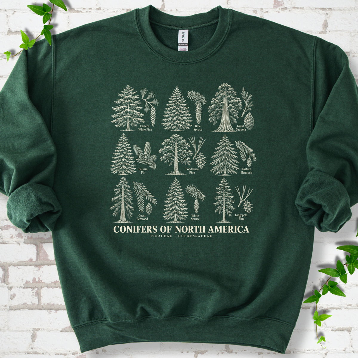 Forest Green classic sweatshirt laid flat, showing cream illustrations of nine labeled trees with needles and cones above "Conifers of North America".