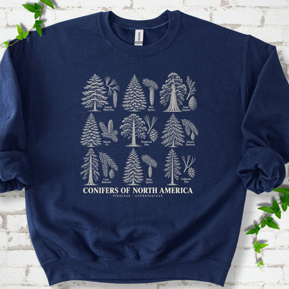 Navy classic sweatshirt laid flat, showing cream illustrations of nine labeled trees with needles and cones above "Conifers of North America".