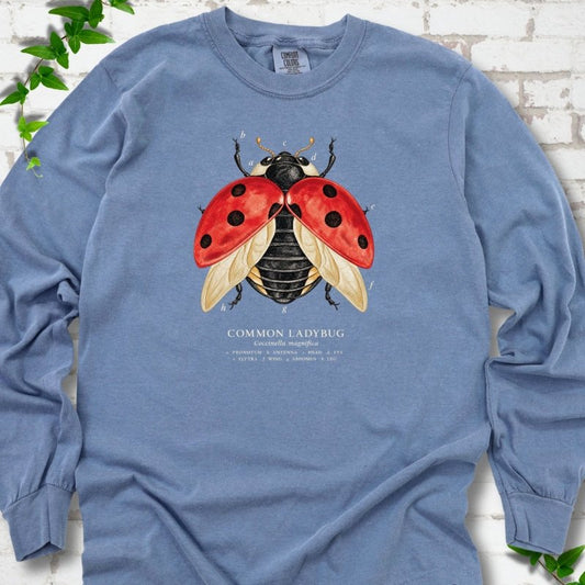 Blue Jean light blue long sleeve T-shirt with an open-winged red ladybug diagram with ivory letter labels a to h and a Common Ladybug caption, flat lay on white brick with ivy