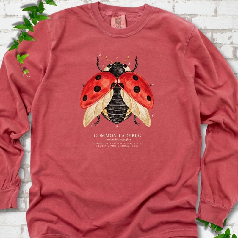 Crimson red long sleeve T-shirt with an open-winged red ladybug diagram with ivory letter labels a to h and a Common Ladybug caption, flat lay on white brick with ivy