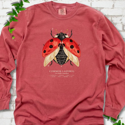 Crimson red long sleeve T-shirt with an open-winged red ladybug diagram with ivory letter labels a to h and a Common Ladybug caption, flat lay on white brick with ivy