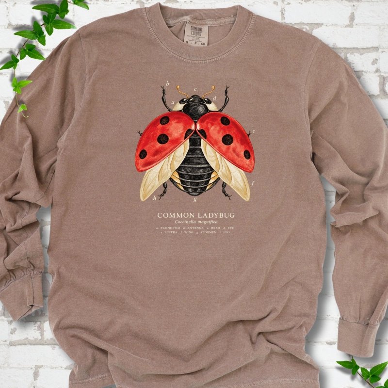 Espresso brown long sleeve T-shirt with an open-winged red ladybug diagram with ivory letter labels a to h and a Common Ladybug caption, flat lay on white brick with ivy
