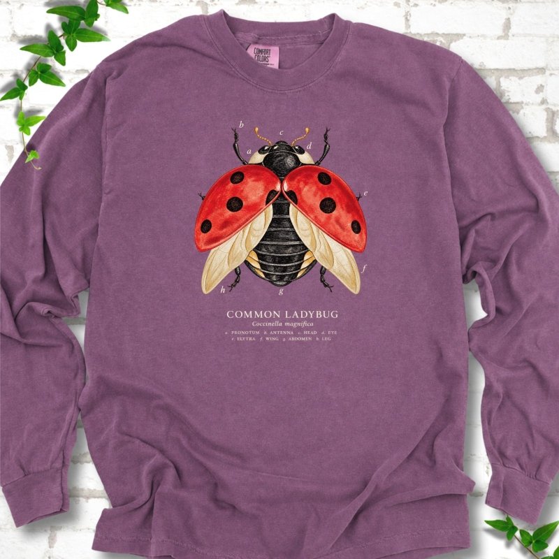 Berry purple long sleeve T-shirt with an open-winged red ladybug diagram with ivory letter labels a to h and a Common Ladybug caption, flat lay on white brick with ivy