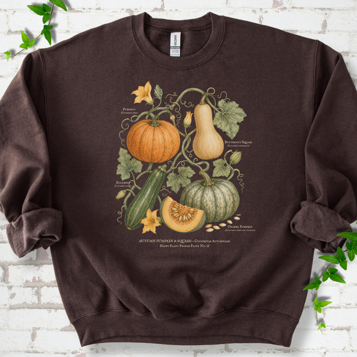 Dark Chocolate Gildan® 18000 crewneck sweatshirt flat lay featuring a botanical plate of pumpkin, butternut squash, zucchini and vines.
