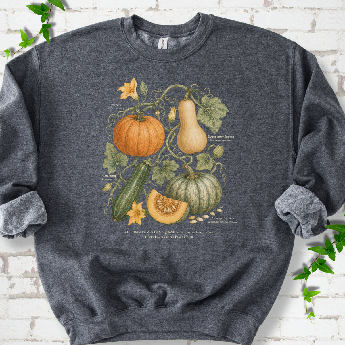 Dark Heather Gildan® 18000 crewneck sweatshirt flat lay featuring a botanical plate of pumpkin, butternut squash, zucchini and vines.