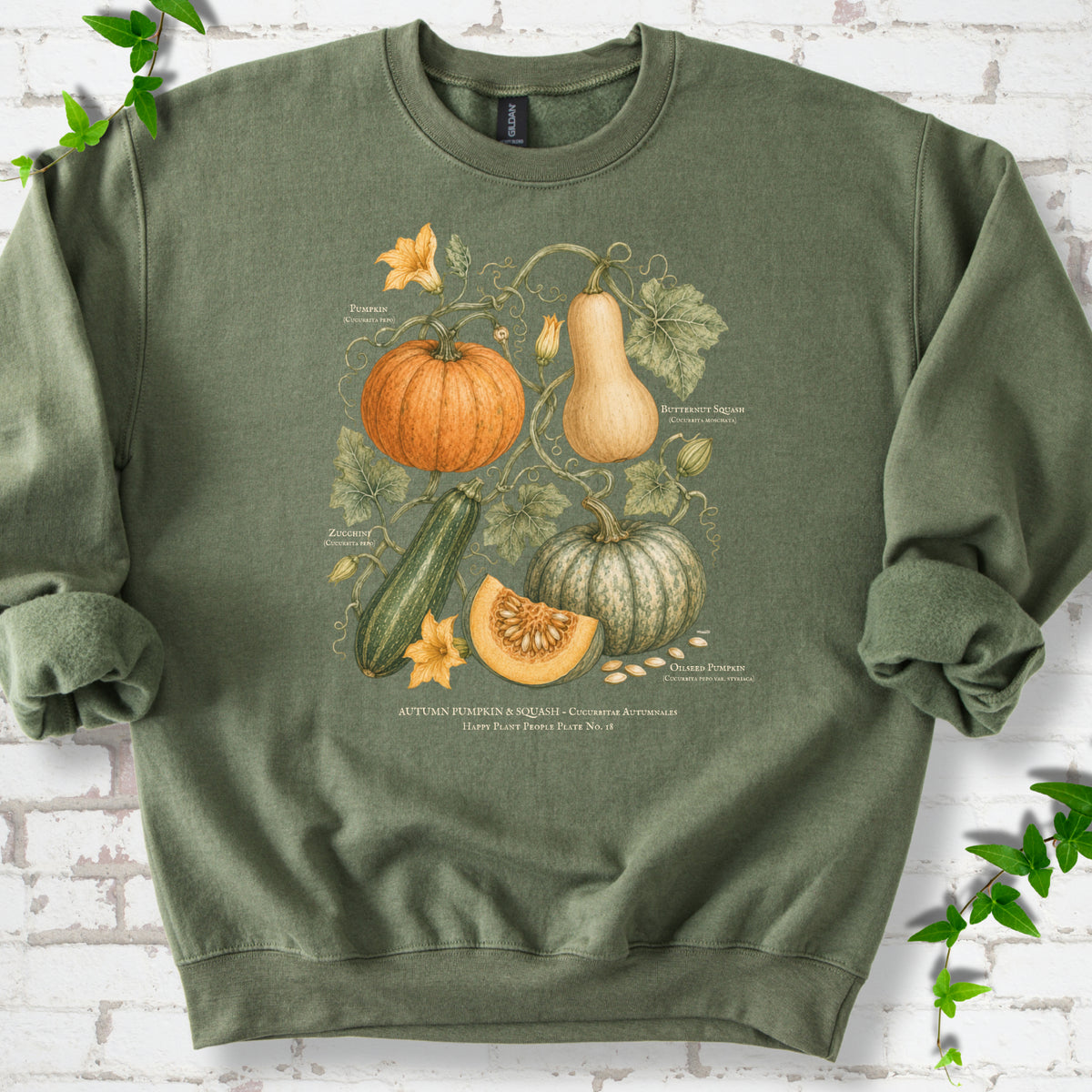 Military Green Gildan® 18000 crewneck sweatshirt flat lay featuring a botanical plate of pumpkin, butternut squash, zucchini and vines.