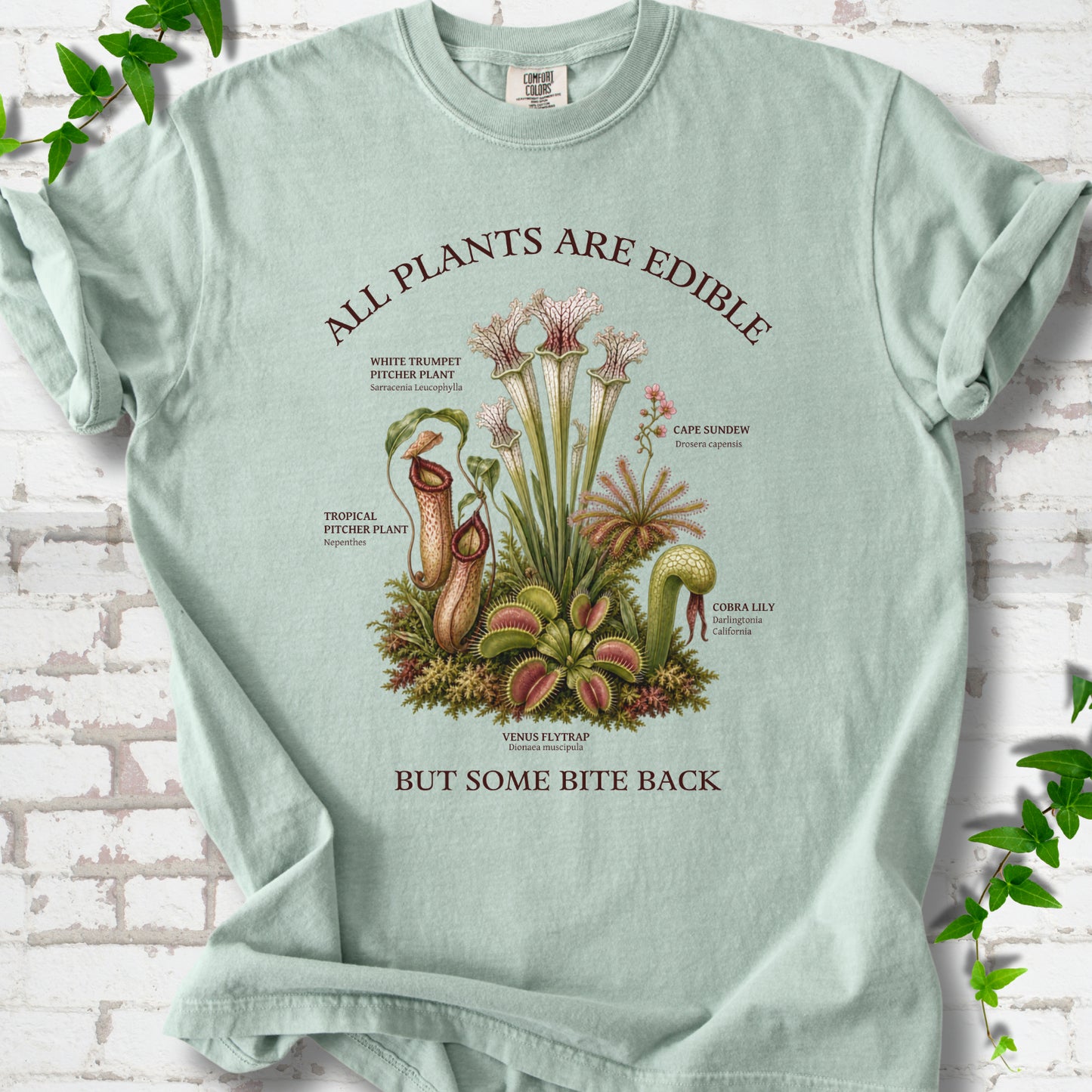 Bay Comfort Colors® T-shirt front mockup featuring a botanical illustration of various carnivorous plants including a Venus Flytrap, Pitcher Plants, Cape Sundew, and Cobra Lily.
