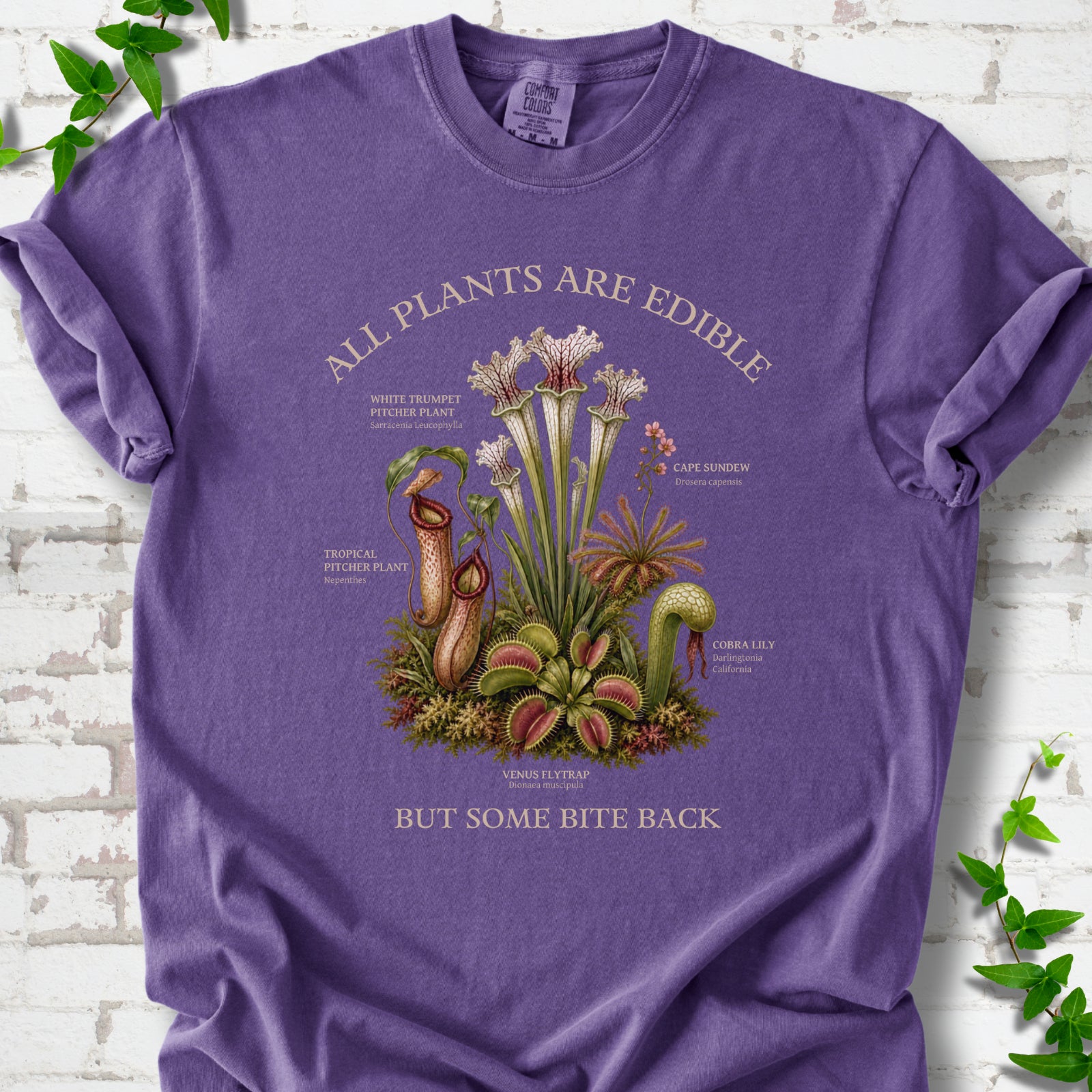 Grape Comfort Colors® T-shirt front mockup featuring a botanical illustration of various carnivorous plants including a Venus Flytrap, Pitcher Plants, Cape Sundew, and Cobra Lily.