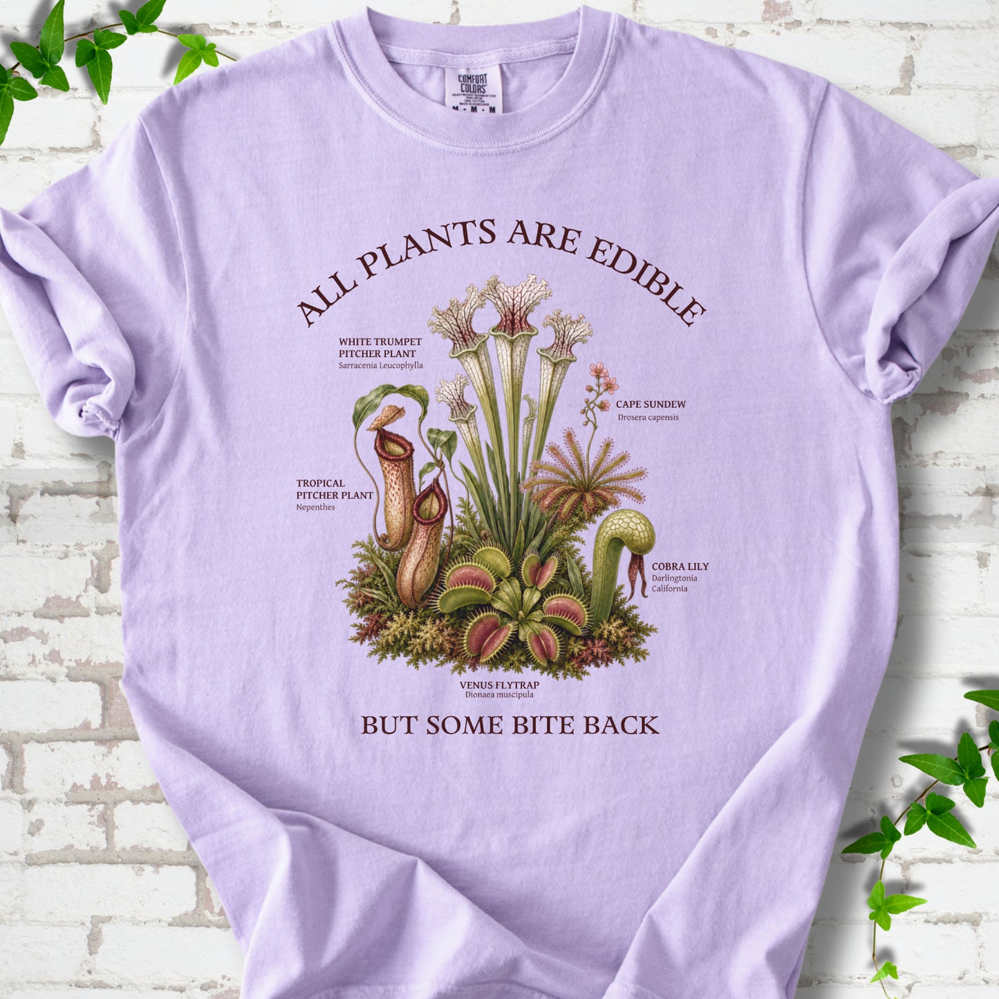 Orchid Comfort Colors® T-shirt front mockup featuring a botanical illustration of various carnivorous plants including a Venus Flytrap, Pitcher Plants, Cape Sundew, and Cobra Lily.
