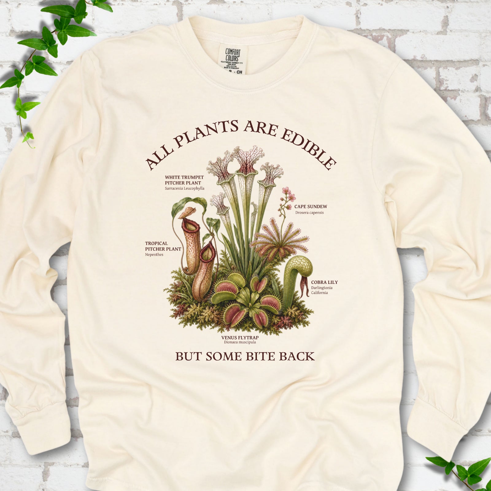 Ivory Comfort Colors® long sleeve T-shirt front mockup featuring a botanical illustration of various carnivorous plants including a Venus Flytrap, Pitcher Plants, Cape Sundew, and Cobra Lily.