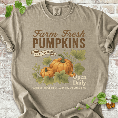 Vintage Pumpkin T-shirt on Comfort Colors™ Khaki – features hand-drawn pumpkins and foliage under rustic market-style text promoting hayrides, cider, and fall harvest charm