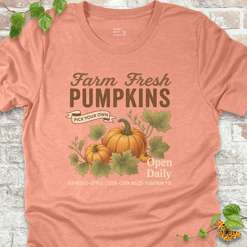 Lightweight autumn tee with a cozy pumpkin graphic on a warm coral-orange shirt for harvest fans