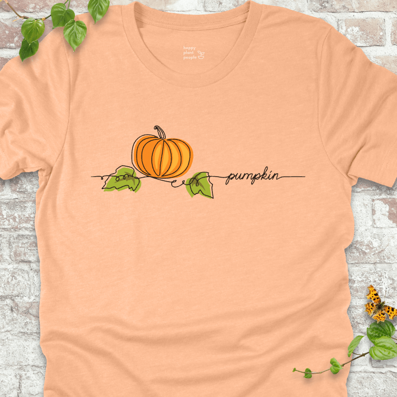 Minimalist pumpkin illustration on a peach T-shirt